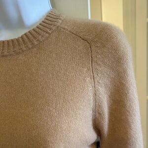 The Limited Women's Camel Crew Neck Sweater